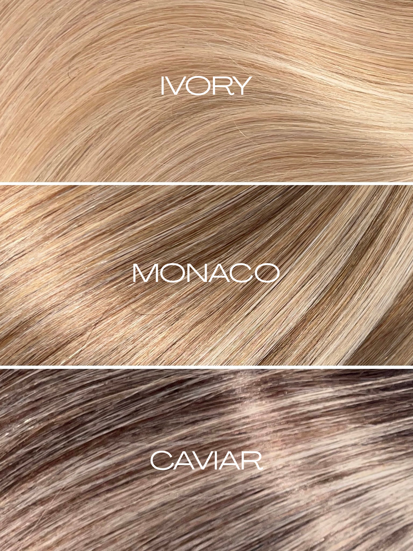 IVORY Bundles